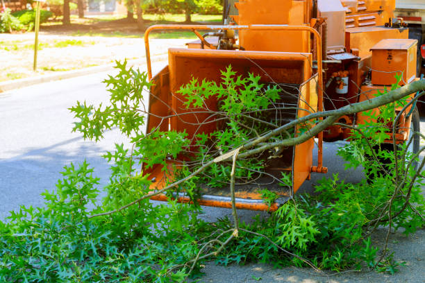 Emergency Storm Tree Removal in Boswell, PA